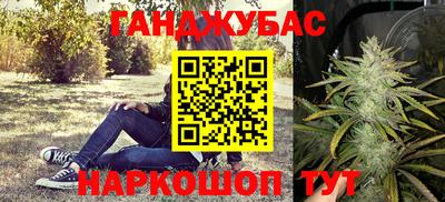 гидра Кимры
