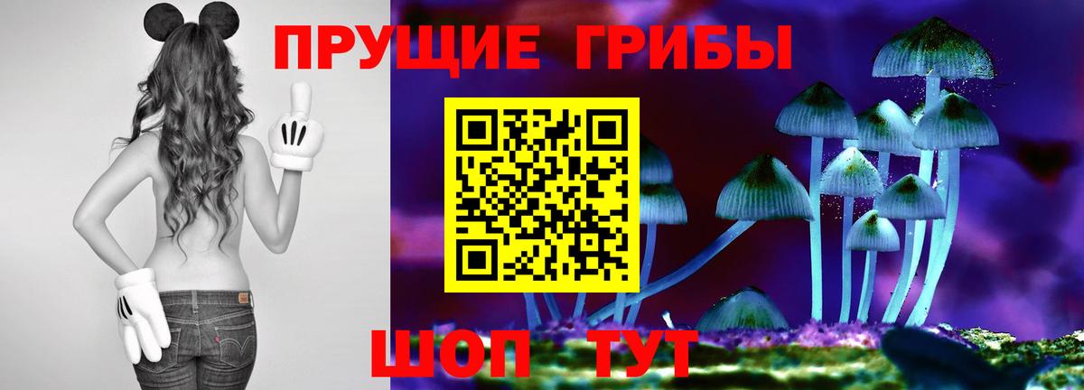 Псилоцибиновые грибы Psilocybe  Вход с VPN  где купить   Котовск  Галлюциногенные грибы мицелий 